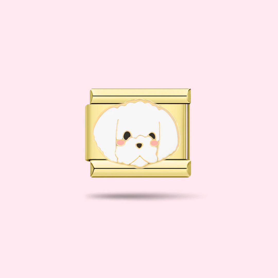🐶 Charm Bichon