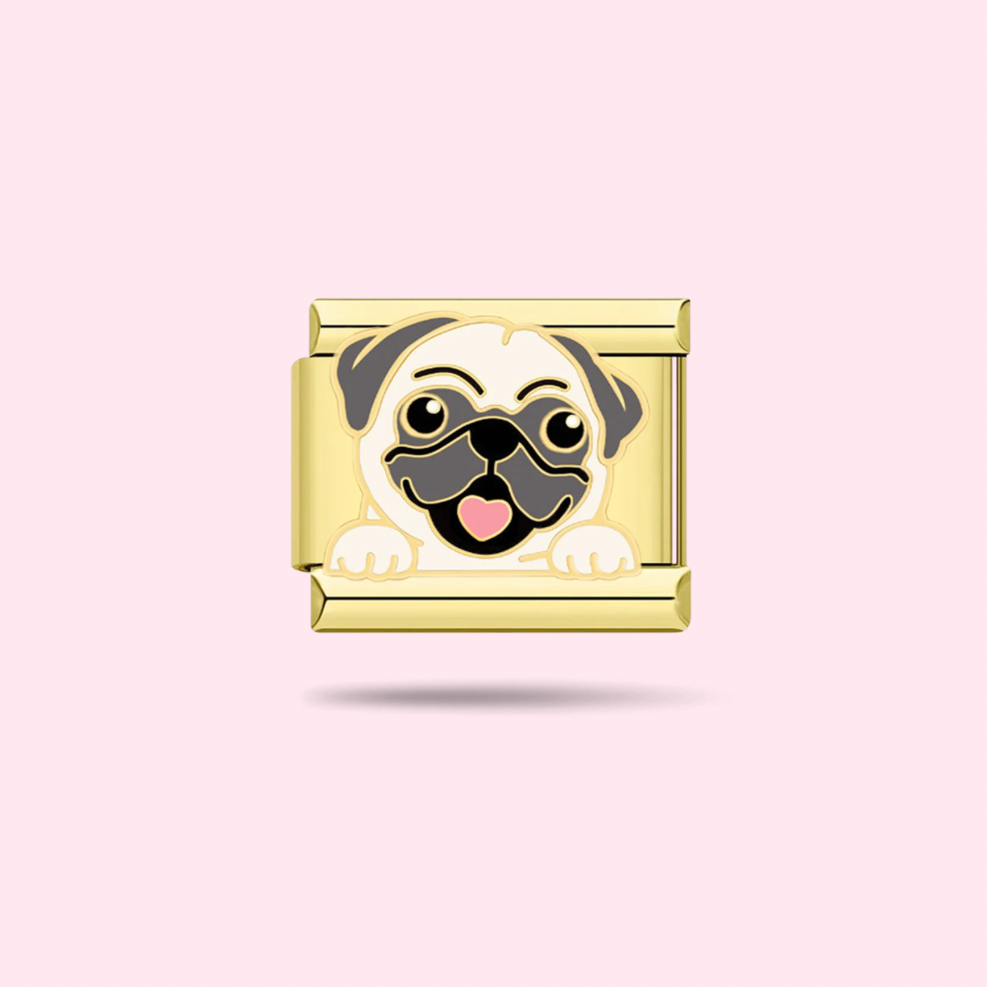 🐶 Charm Carlin