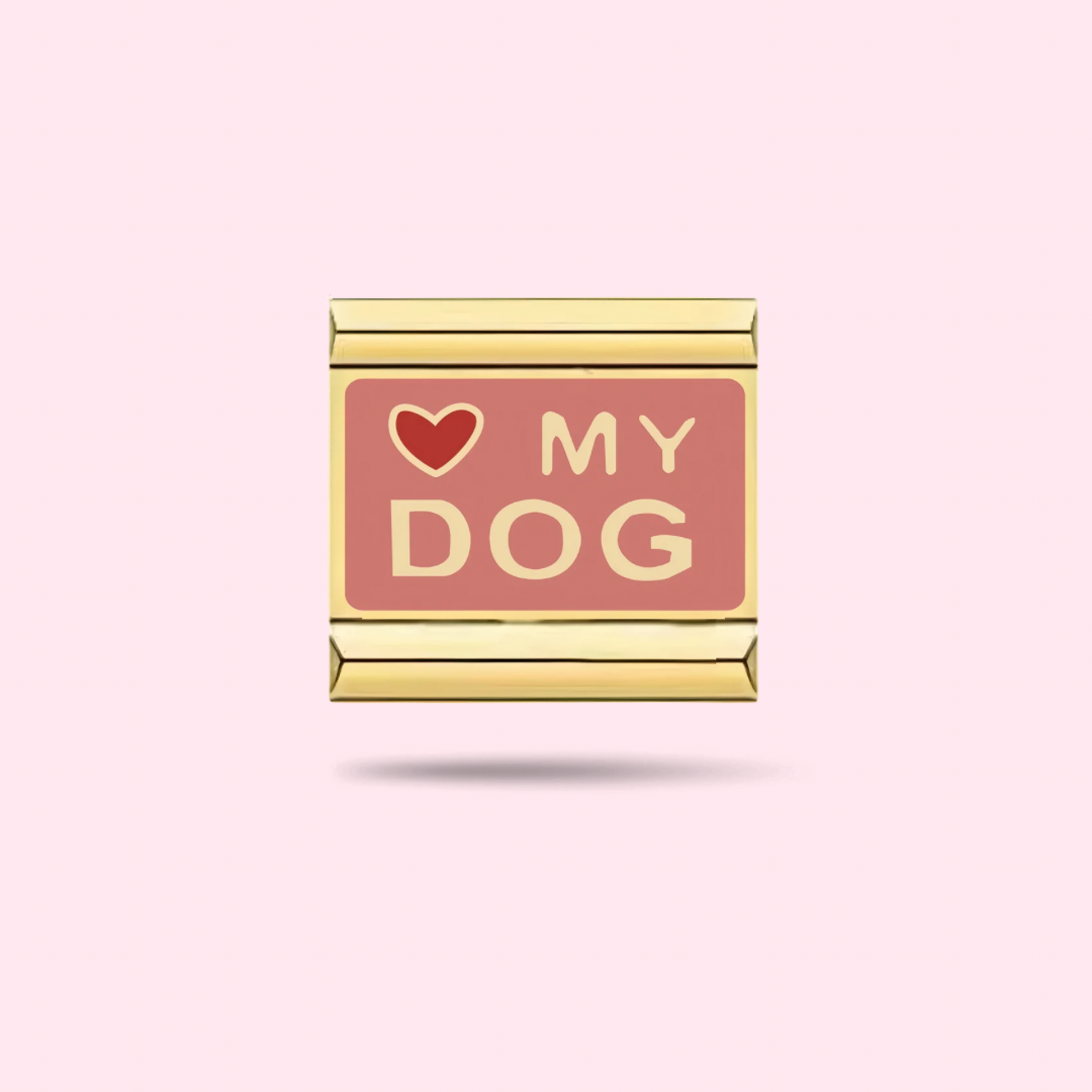 🐾 Charm My Dog