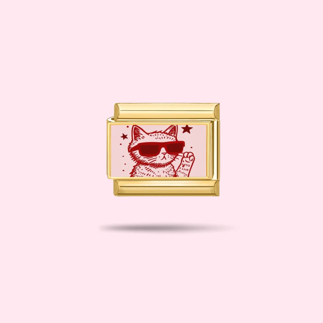 😎 Charm Cool Cat